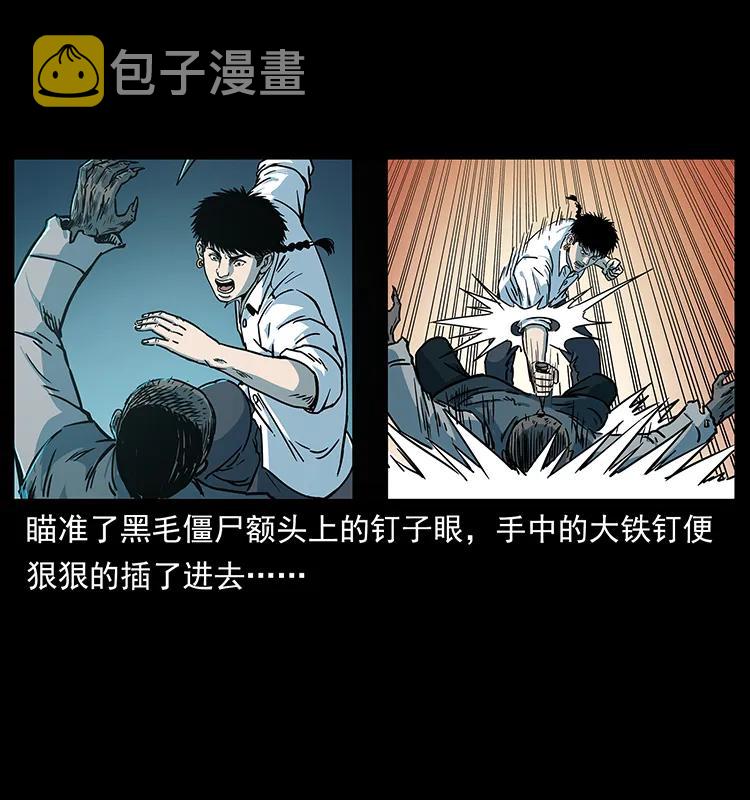 227 猴脑17
