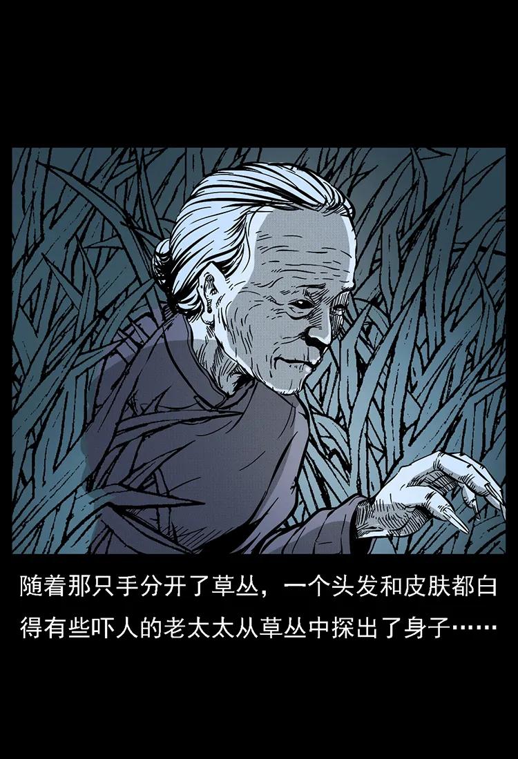 番外2 之保家白仙17