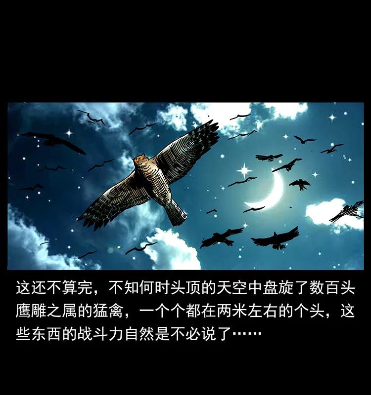 176 对峙祖龙顶86