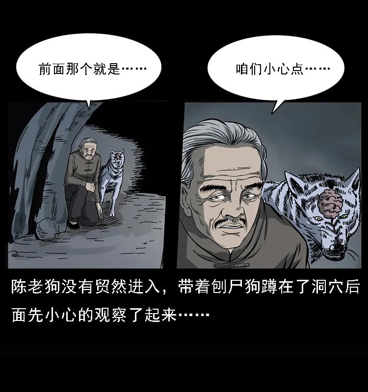 082 鬼桃树22