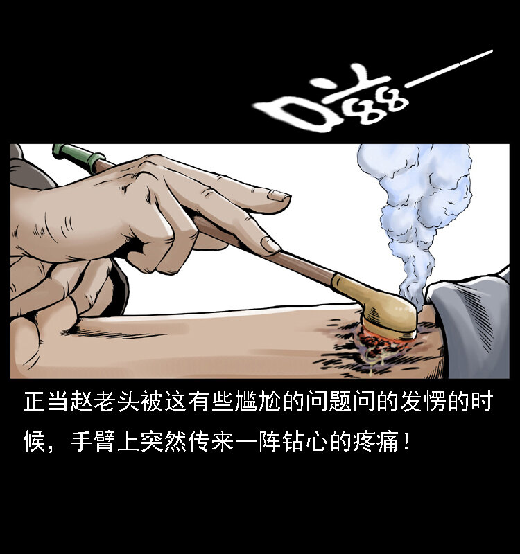 003 赵家的猫64