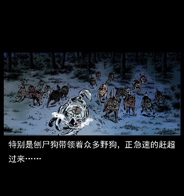 030 斗土蛟212
