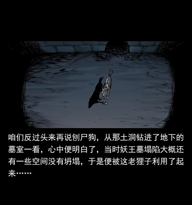 251 刨尸狗遇险65