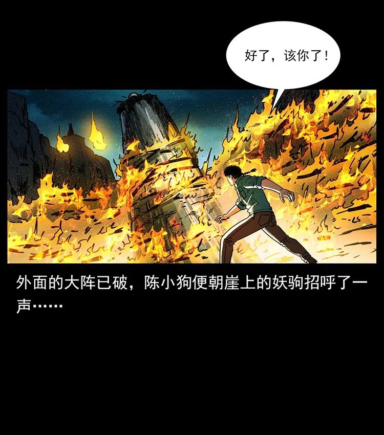 370 乌翅凤凰38