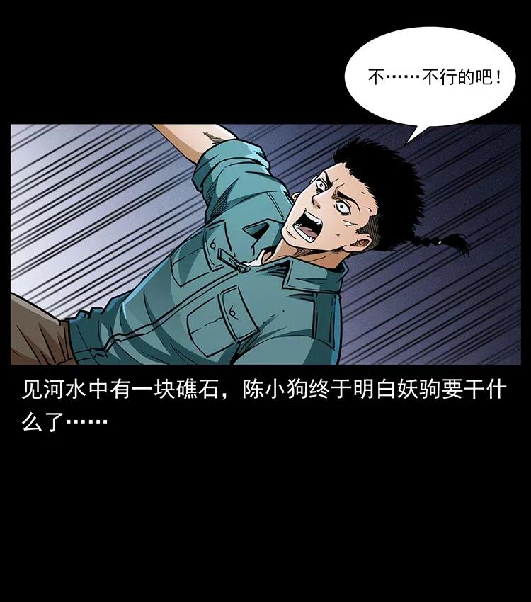 370 乌翅凤凰13