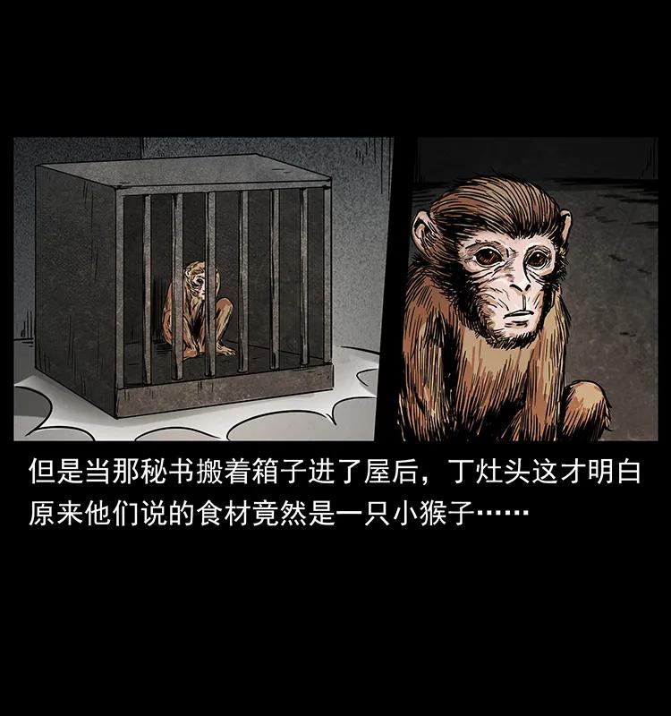 227 猴脑62
