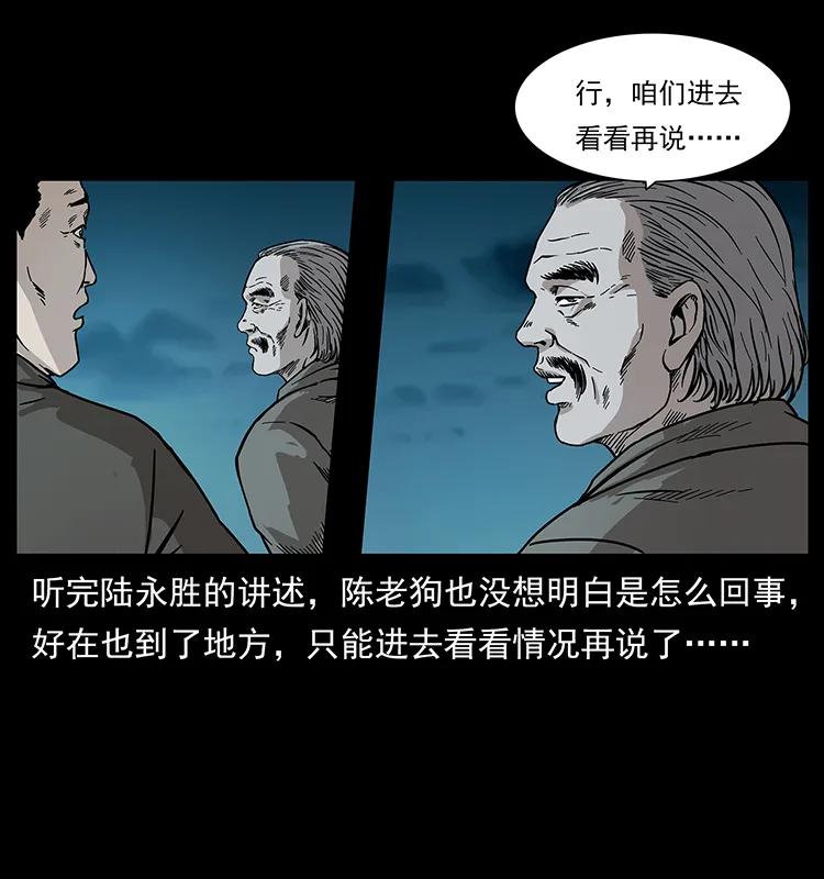 230 生桩47