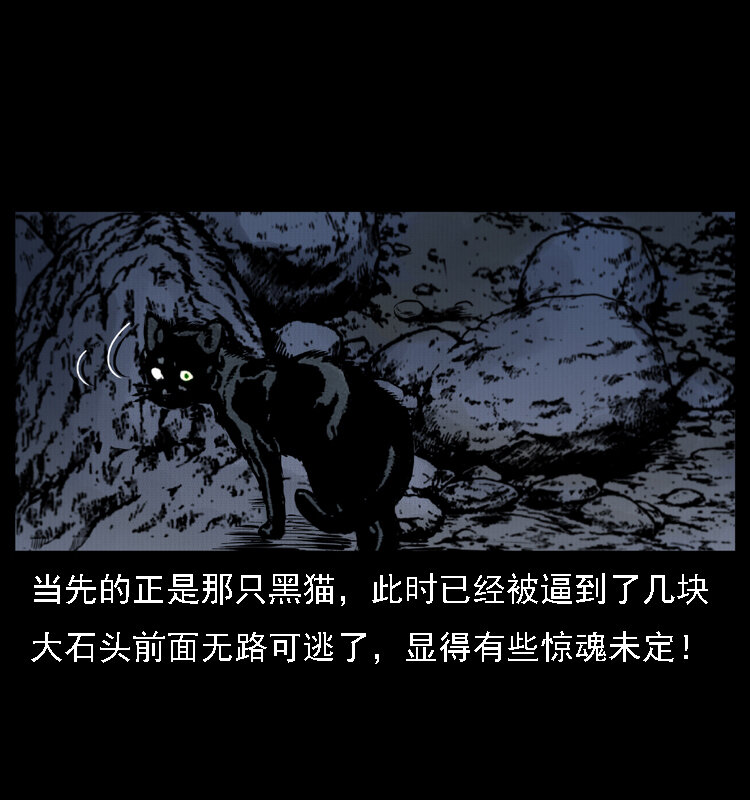 004 猫妖57