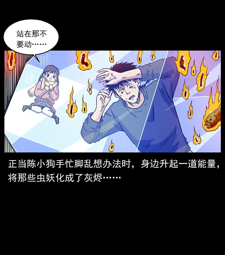 481 树47