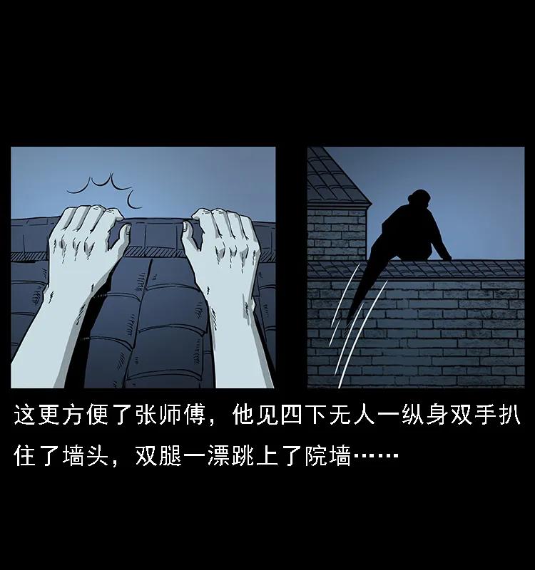 076 守宫11