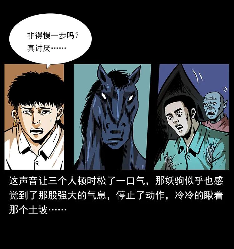 158 妖驹的选择35