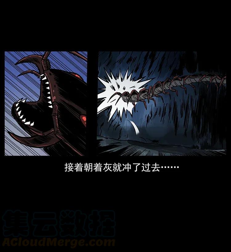 278 黑狐的危机！44