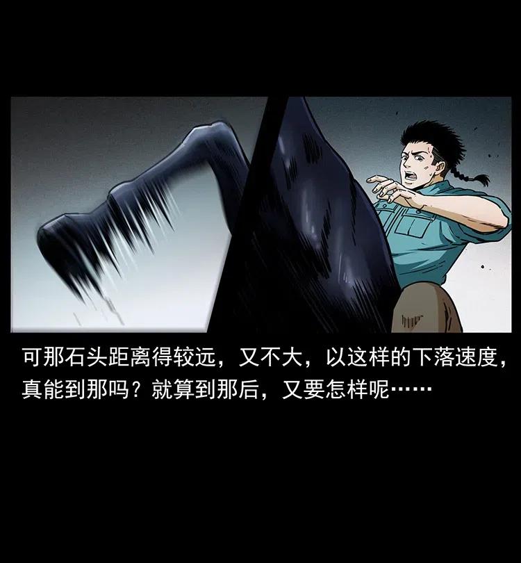 370 乌翅凤凰14