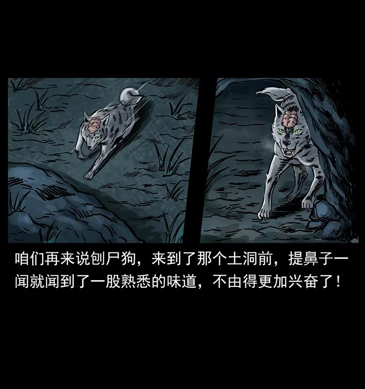 250 走失79