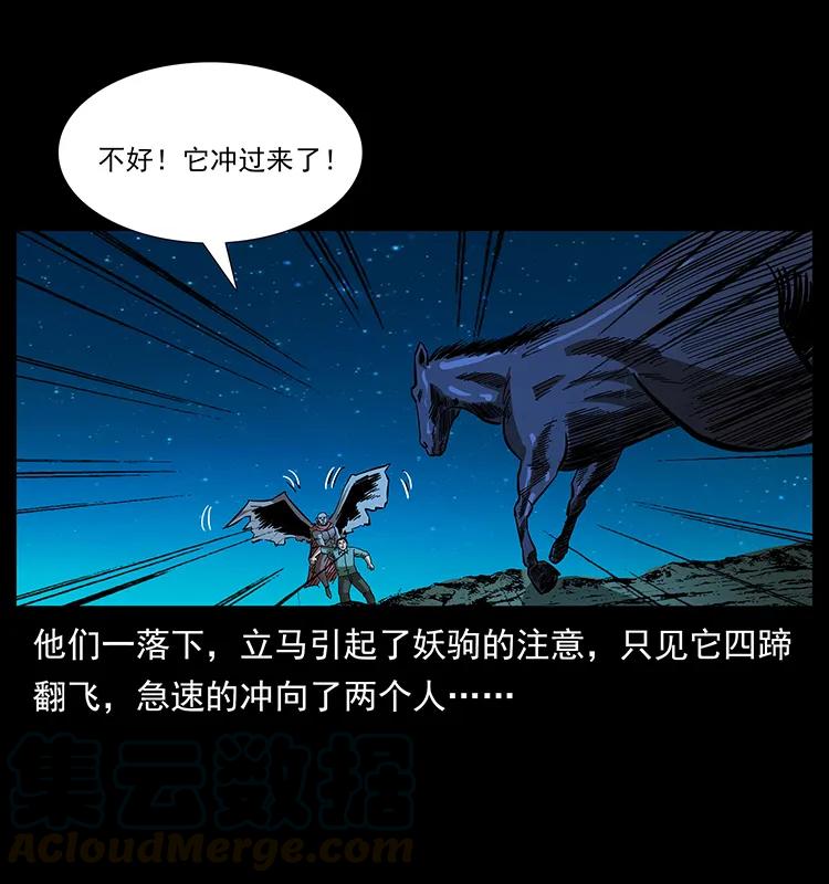 158 妖驹的选择24