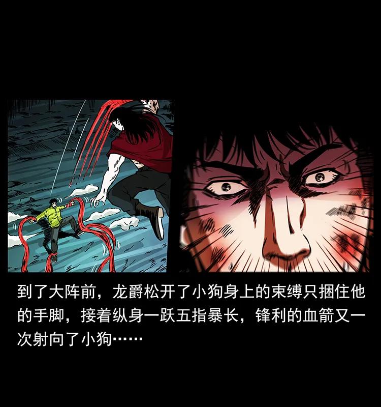 189 龙家的实力3