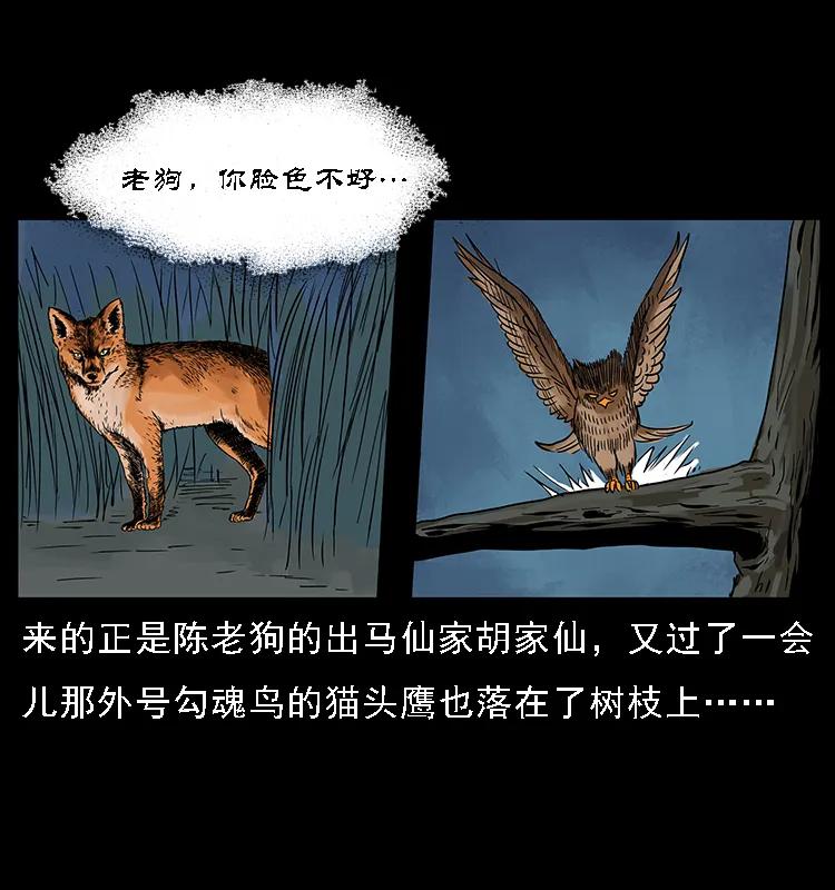 084 刨尸狗的妖化之路58