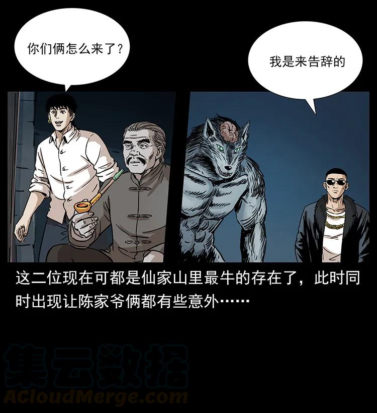 260 阴阳两世24