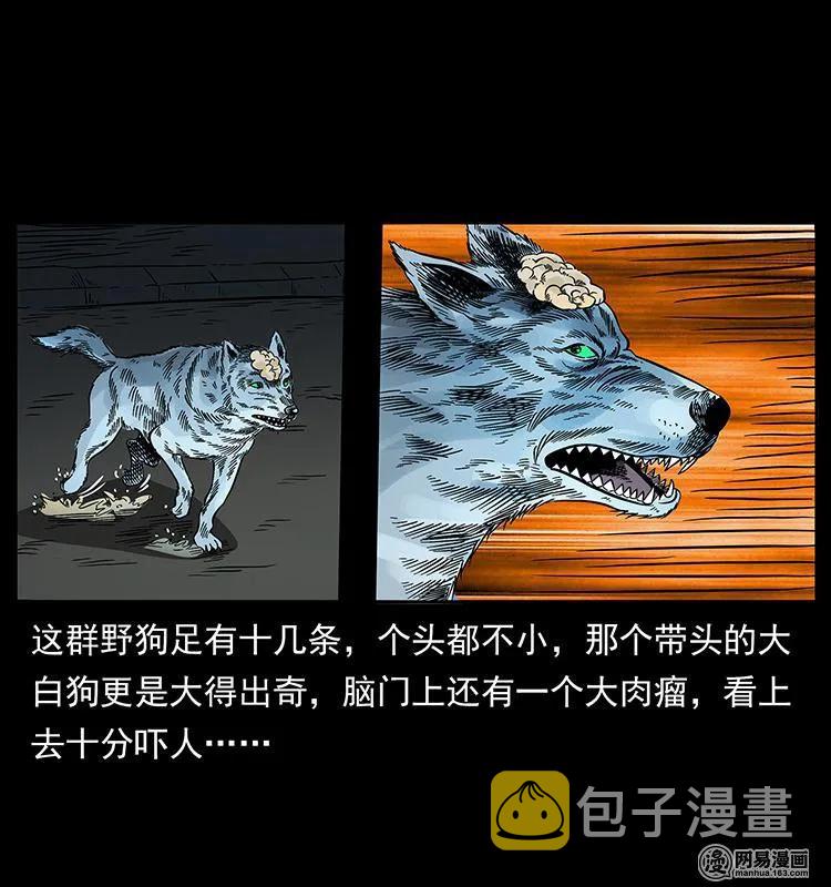151 京西烧骨塔（下）58
