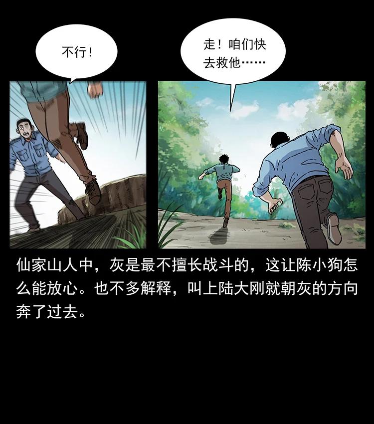 386 本少爷也是仙家34
