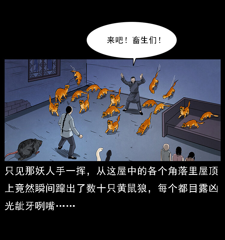 064 役兽妖人26