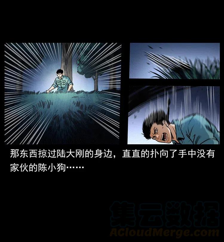 341 咒术80