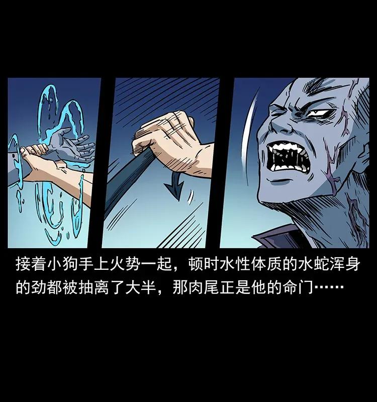 284 惹到不该惹的人81