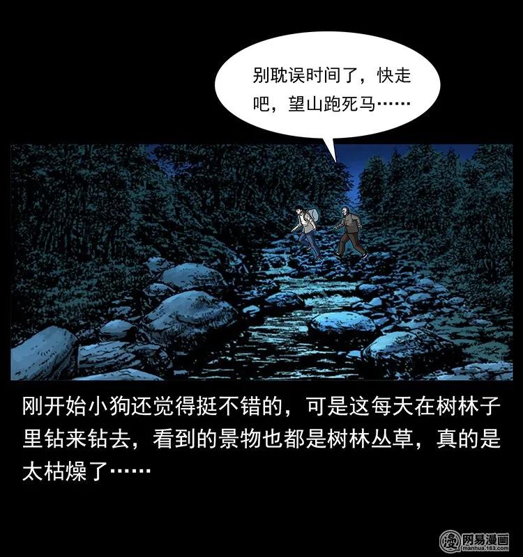 142 黑狐5