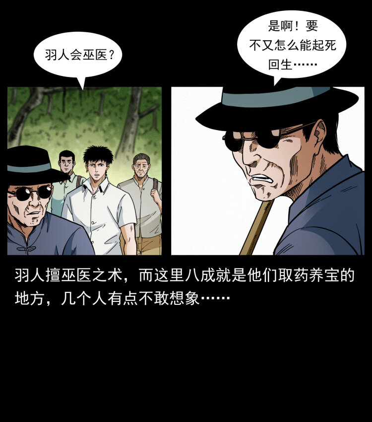 441 羽人之境12