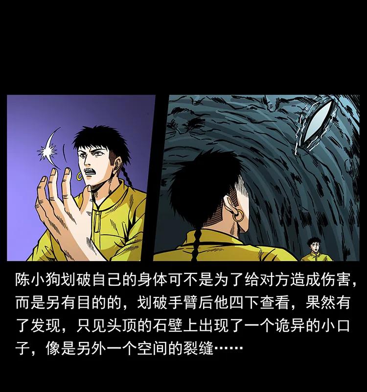 186 龙爵的报复63