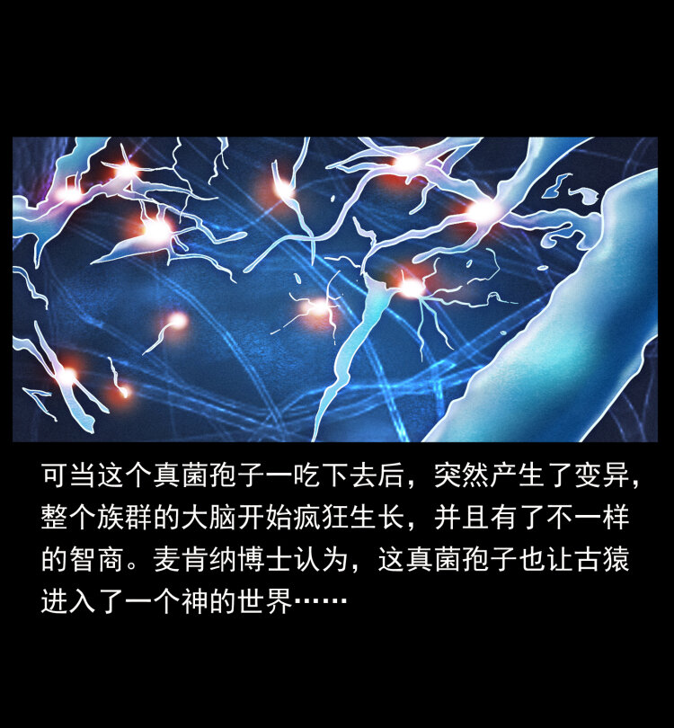 460 你才是猴子变的！27