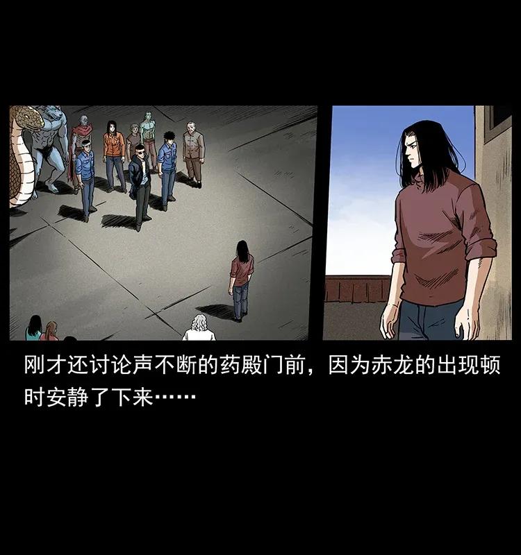 293 赤龙回归31