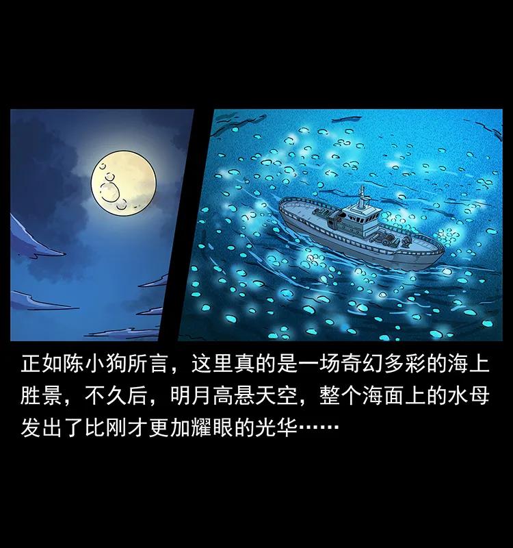 240 意外频发的诱捕66