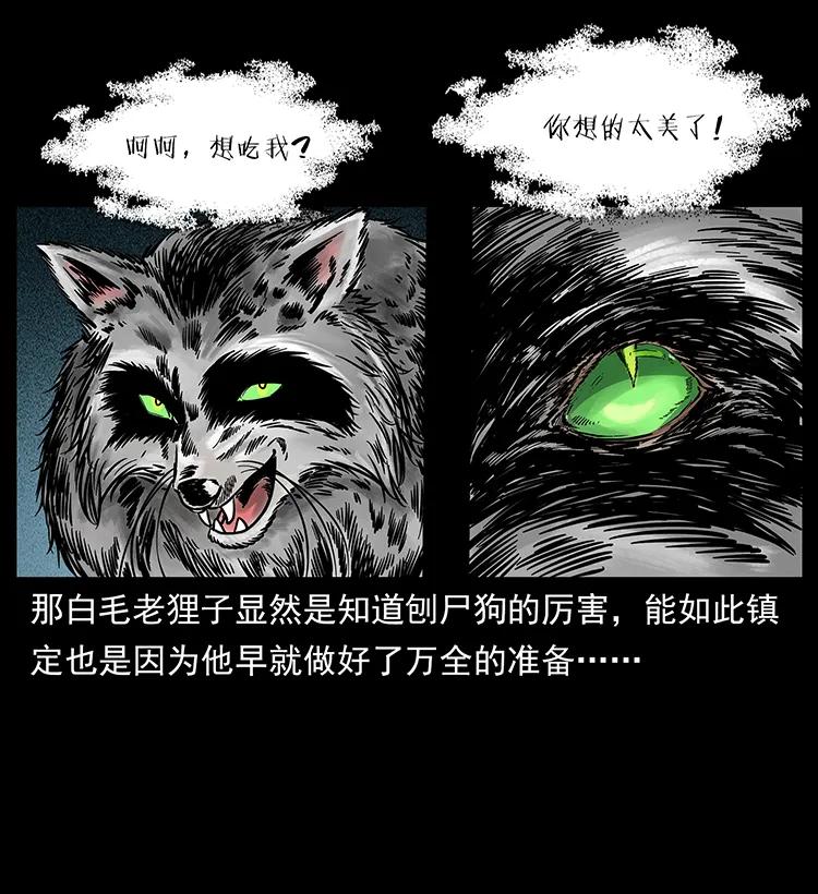 251 刨尸狗遇险70