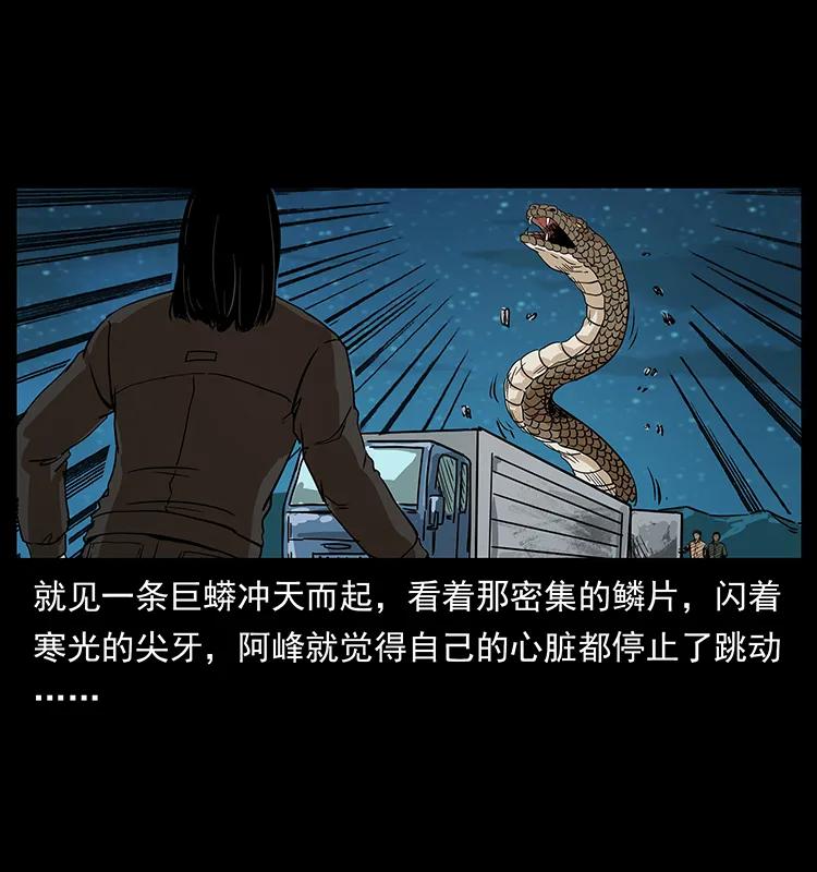 212 草原深处30