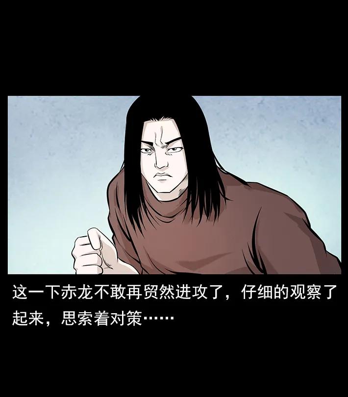 102 昆仑奴71