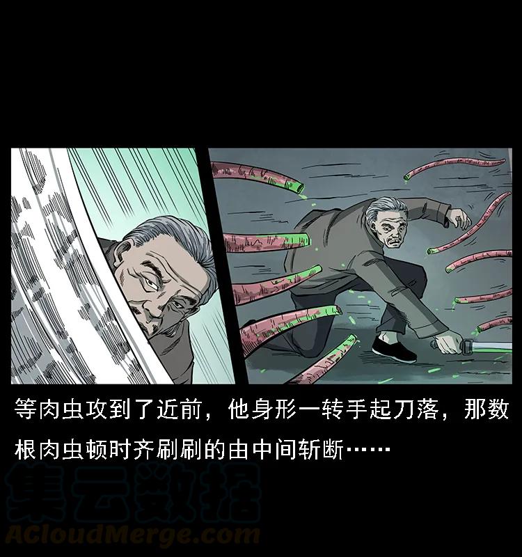 082 鬼桃树68