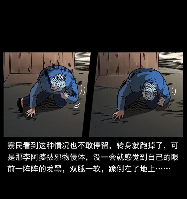 160 李老太太53