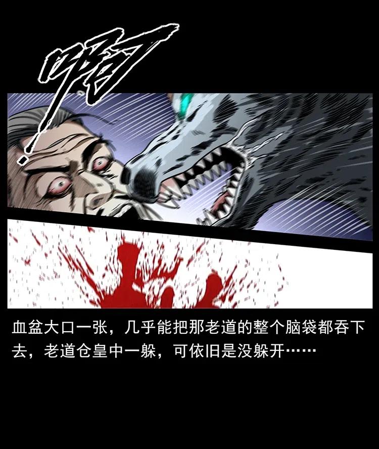 365 死的诅咒34