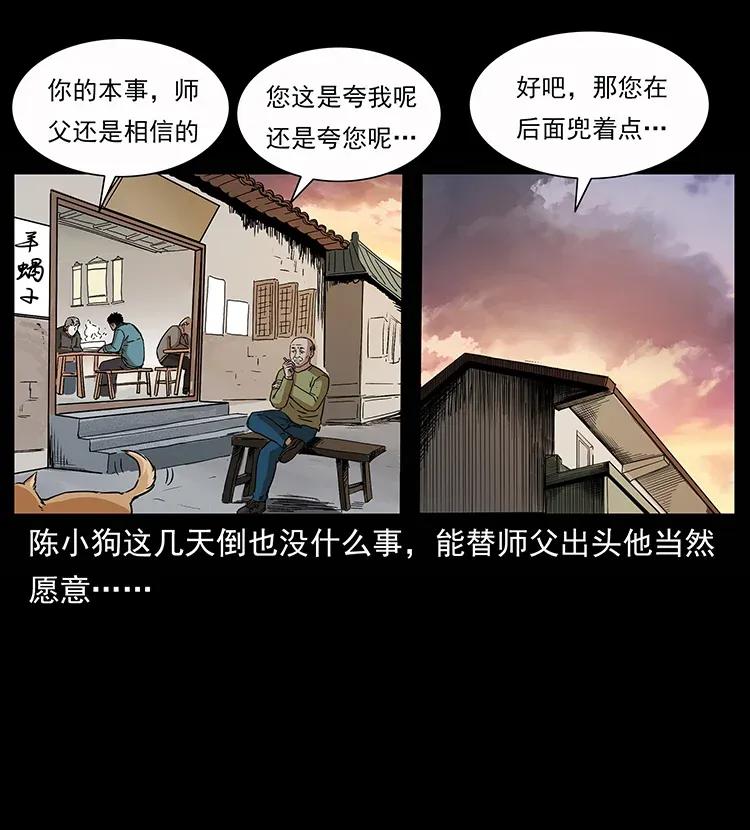 306 怨鬼？精怪？41