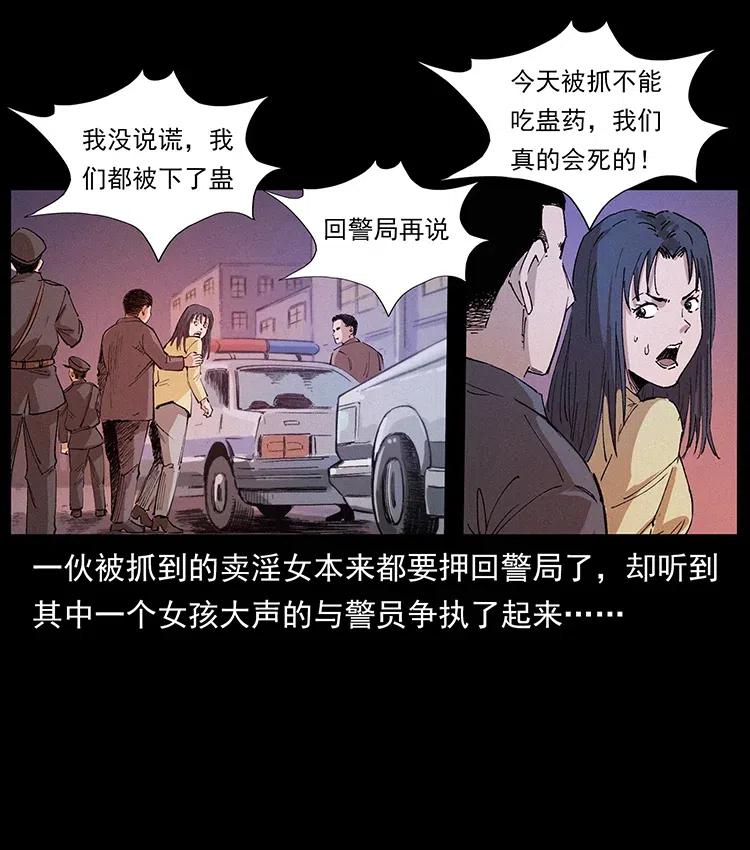 343 秦大麻烦的往事27