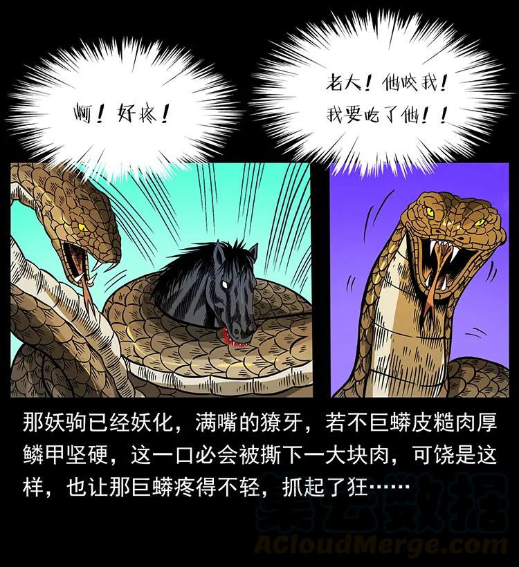 158 妖驹的选择48