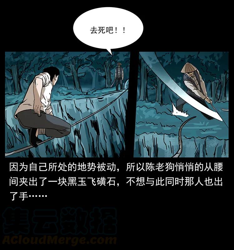 231 东海木龙40