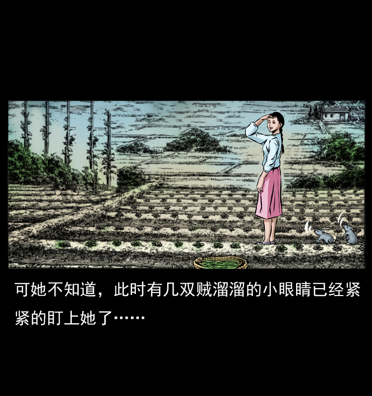 番外1 惊天大计划14