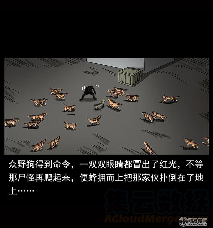 151 京西烧骨塔（下）72