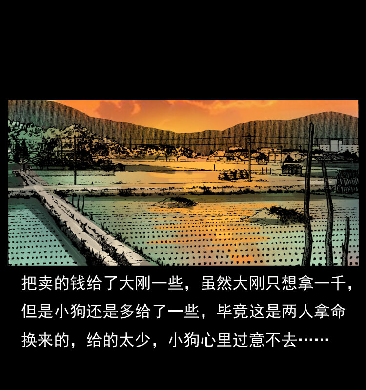 040 雷击尸132