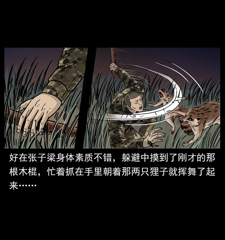 250 走失23