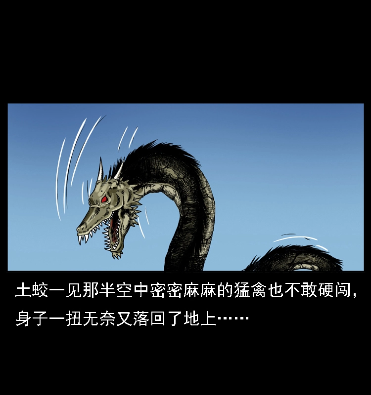029 斗土蛟64