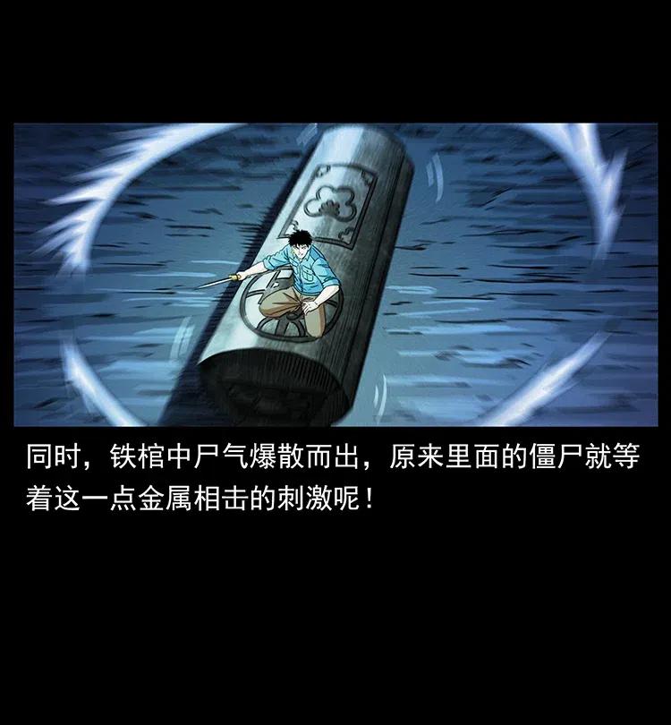 372 天击雷尸29