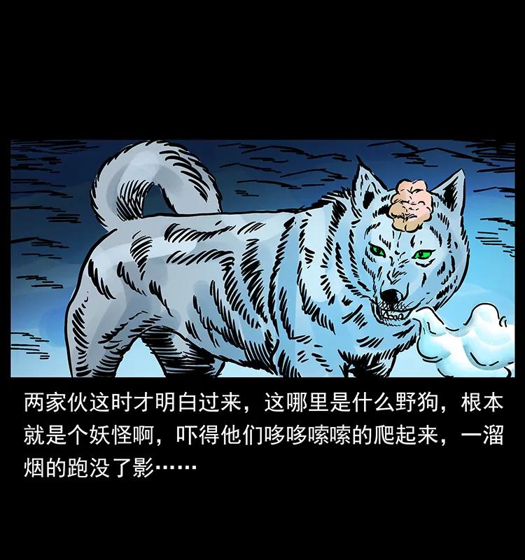 170 布局74